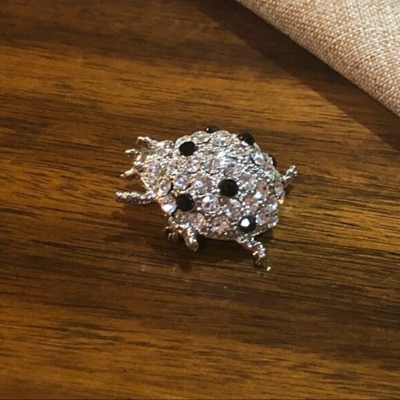Beetle Ladybug Crystal Silver Black Insect Brooch Pin - Picture 7 of 7